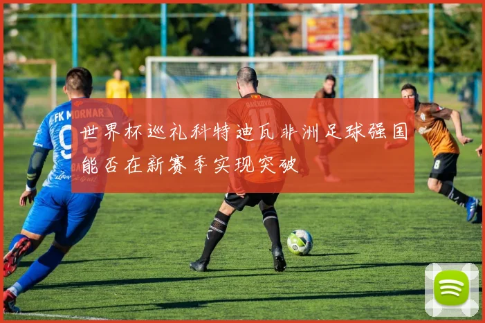 世界杯巡礼科特迪瓦非洲足球强国能否在新赛季实现突破