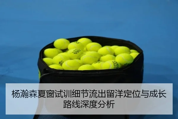 杨瀚森夏窗试训细节流出留洋定位与成长路线深度分析